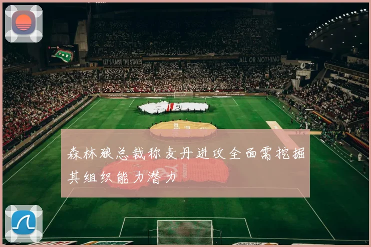 森林狼总裁称麦丹进攻全面需挖掘其组织能力潜力