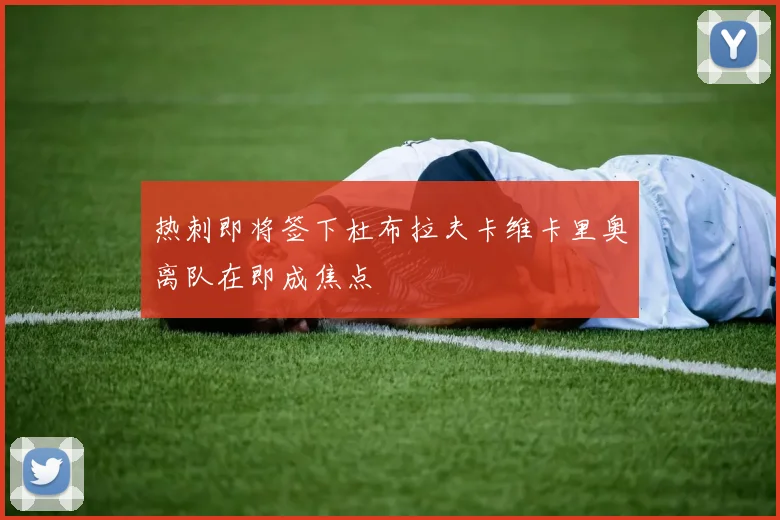 热刺即将签下杜布拉夫卡维卡里奥离队在即成焦点