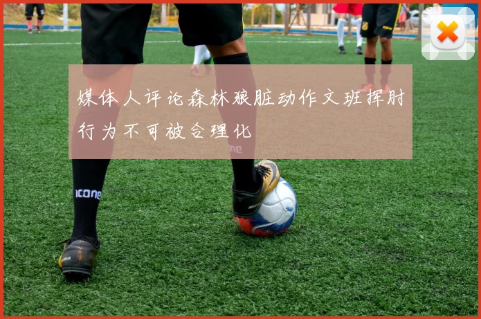 媒体人评论森林狼脏动作文班挥肘行为不可被合理化